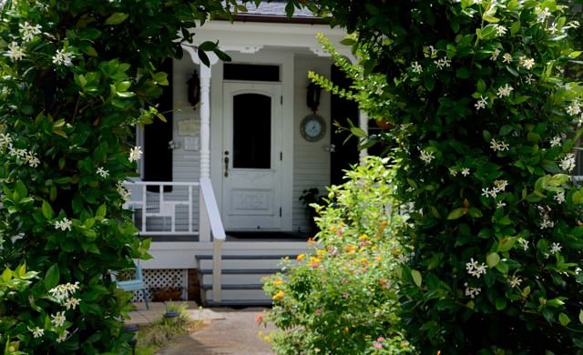 Front entrance to Grand Magnolia with steps leading to a a white building with tall black shutters visible through lush green plants